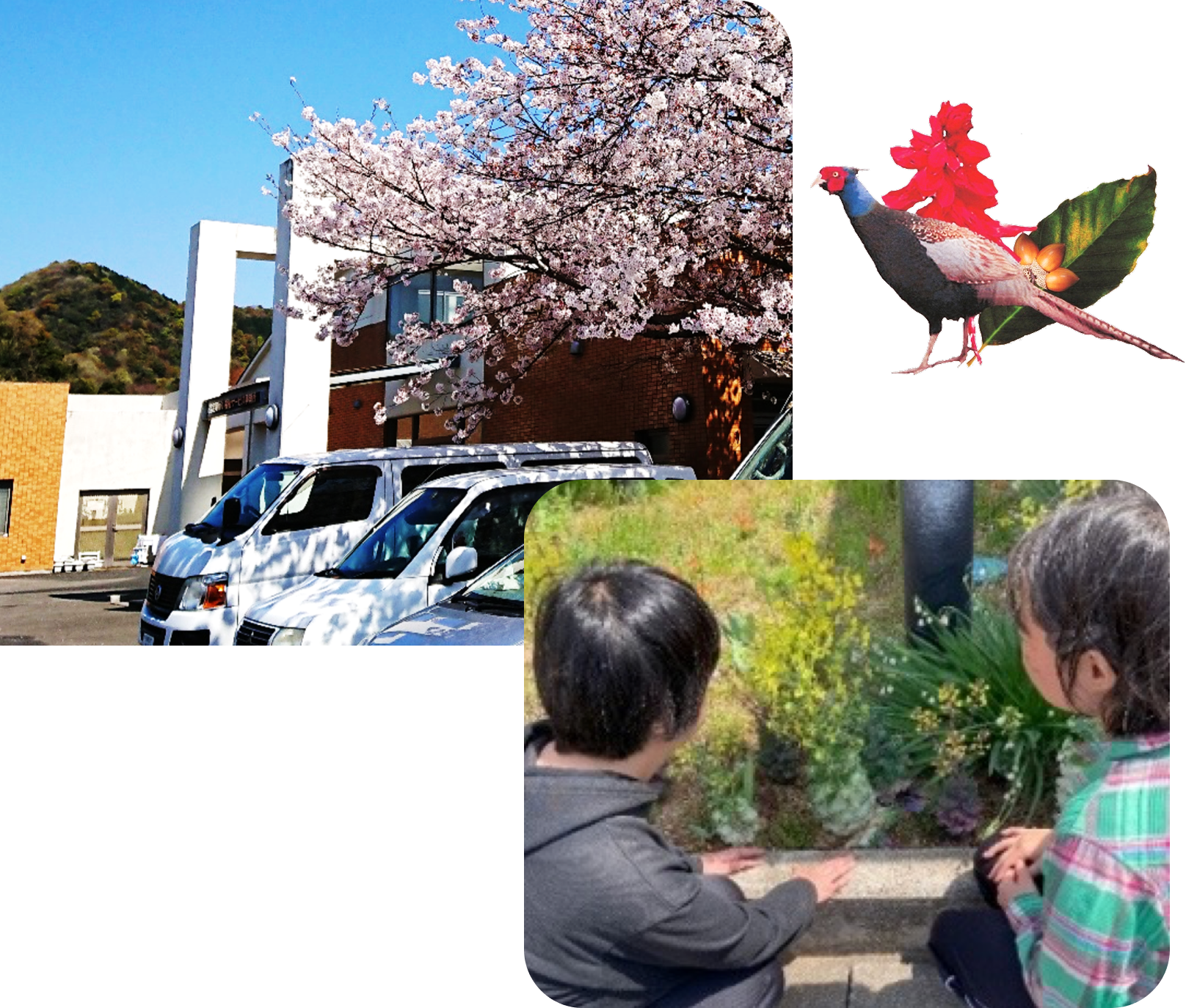 社会福祉法人山田慈惠会